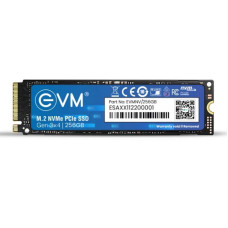 EVM 256GB M.2 NVMe PCIe Internal SSD