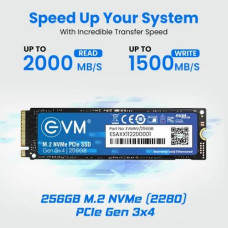 EVM 256GB M.2 NVMe PCIe Internal SSD