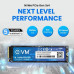 EVM 256GB M.2 NVMe PCIe Internal SSD