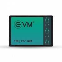 EVM 1 TB 2.5 Inch Internal SATA SSD