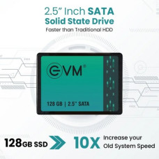 EVM 128GB 2.5 Inch Internal SATA SSD