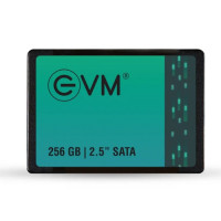 EVM 256GB 2.5 Inch Internal SATA SSD