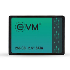 EVM 256GB 2.5 Inch Internal SATA SSD