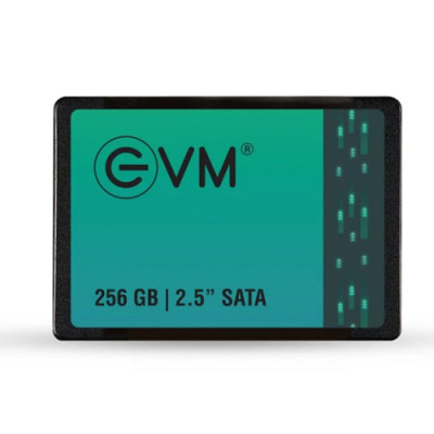 EVM 256GB 2.5 Inch Internal SATA SSD